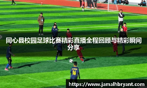 星空XK体育